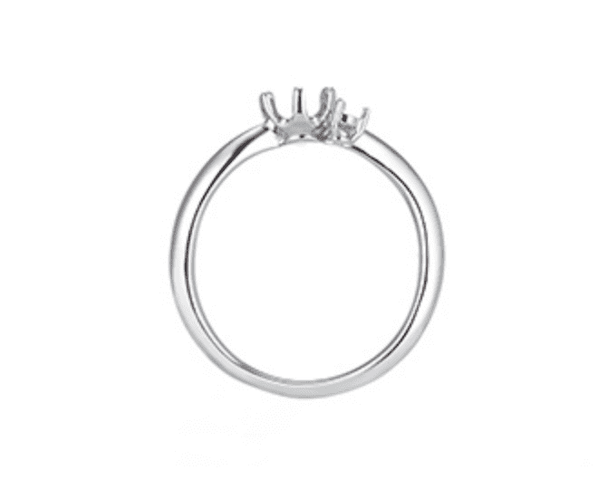 婚約指輪の写真