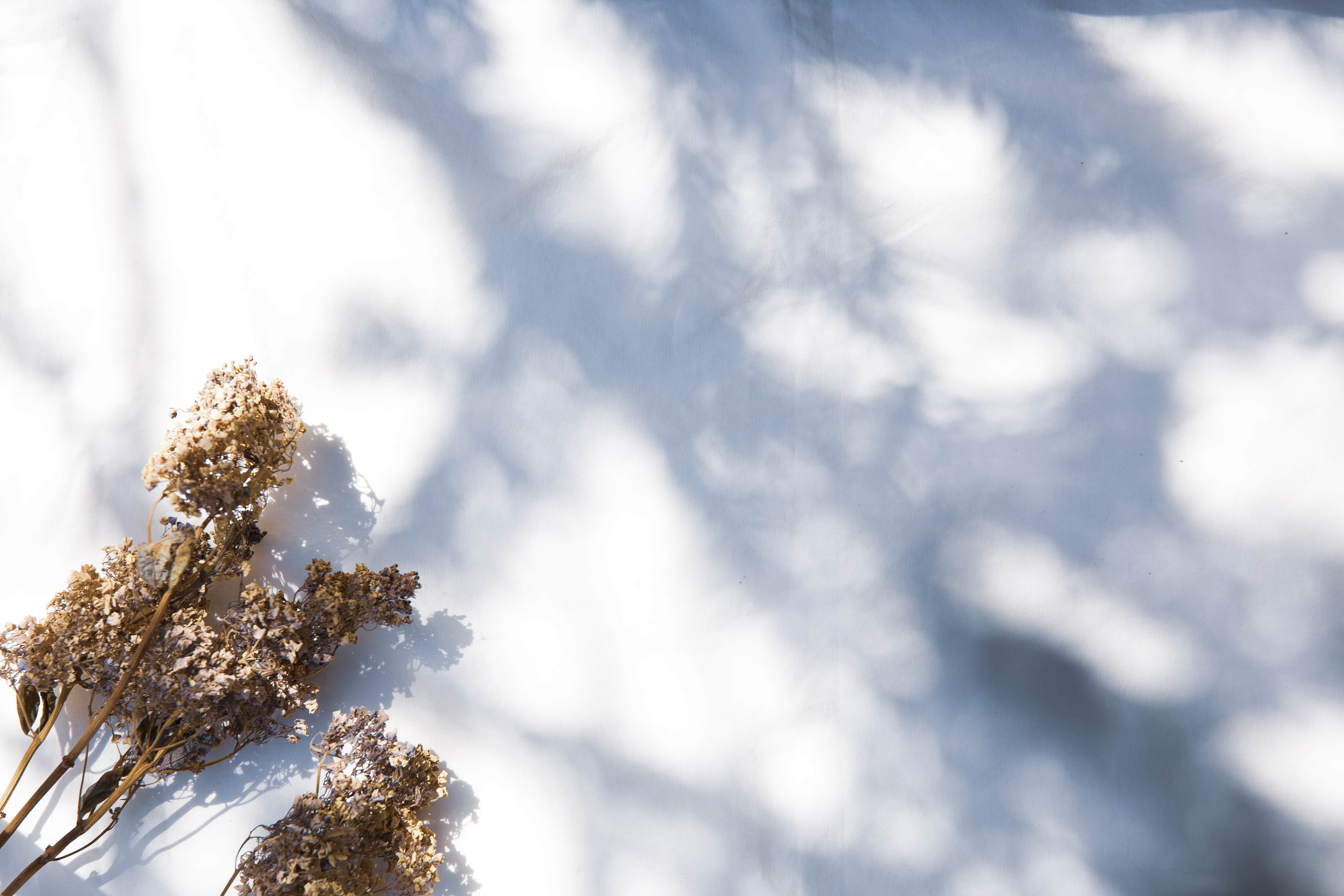 ファーストビュー画像