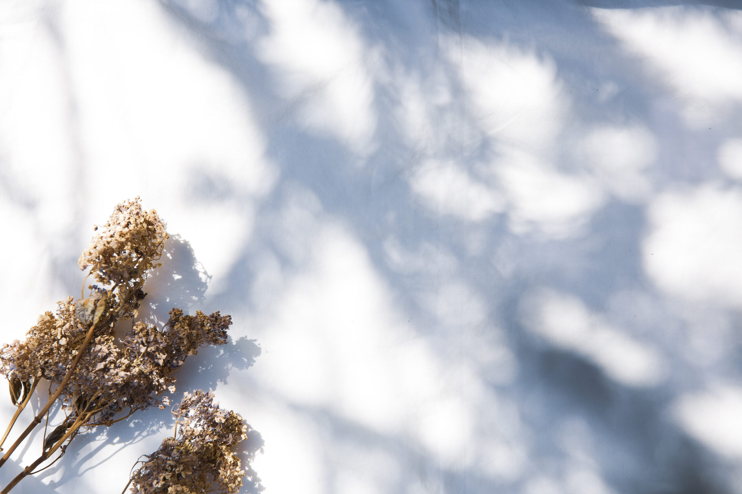 ファーストビュー画像